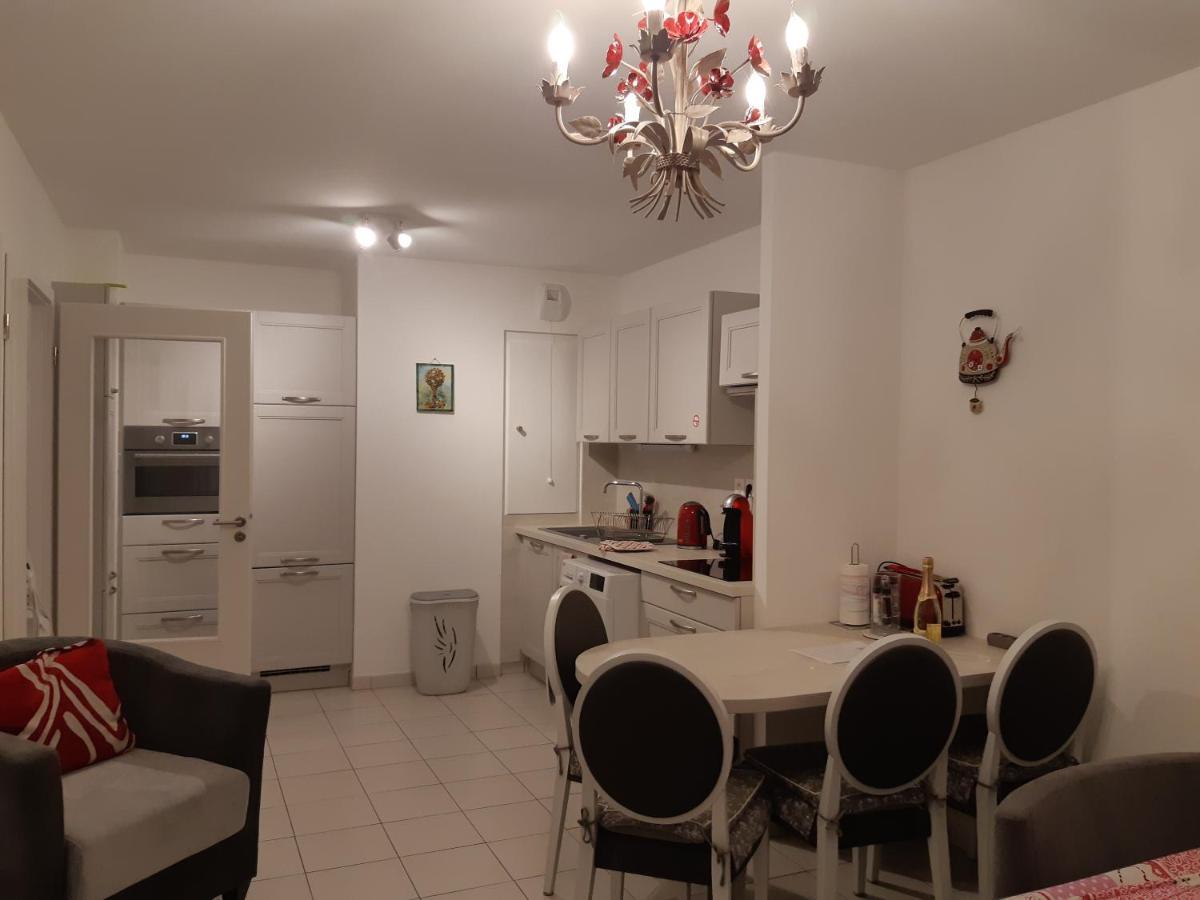 Le Carre Des Fleurs Apartment Страсбург Екстериор снимка